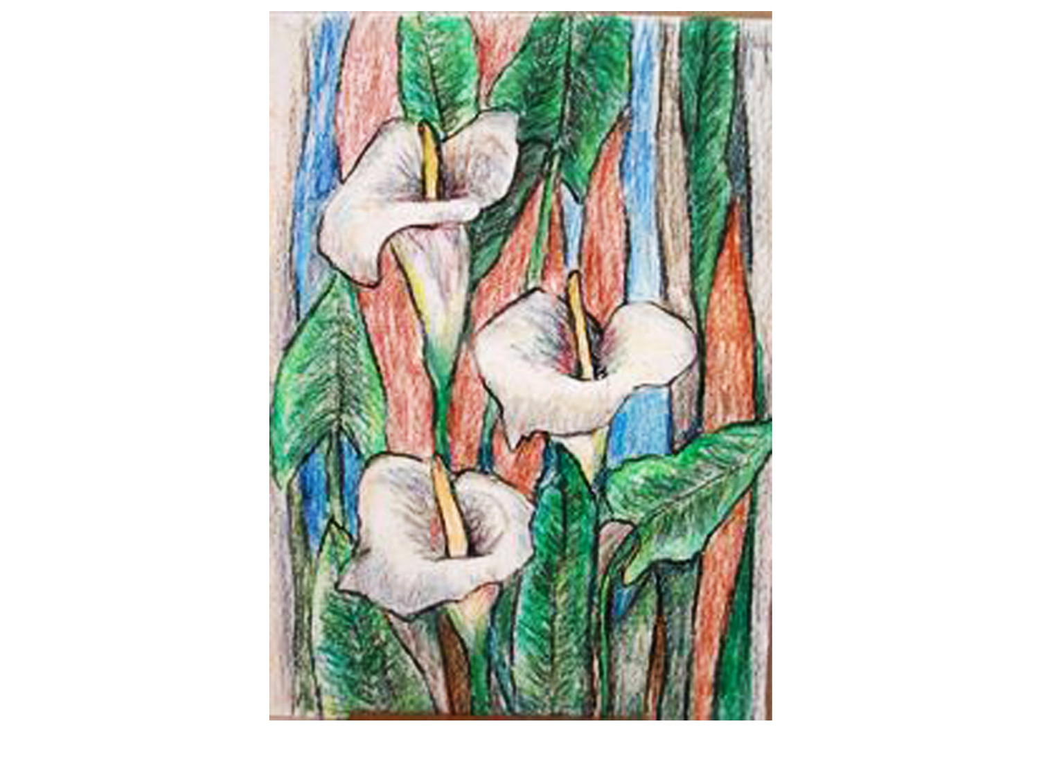 Dorothy Browdy Kushner Calla Lilies 1978-5